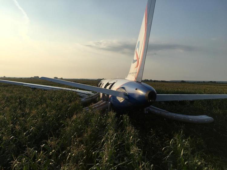 Det russiske passagerfly efter at det er landet sikkert i majsmarken.  Foto: Stringer/Ritzau Scanpix