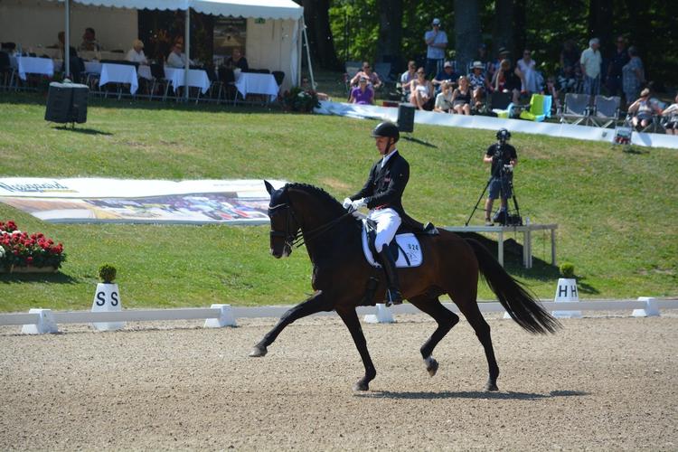 Med 78,665 procent var Daniel Bachmann Andersen og Blue Hors Zack den bedste danske ekvipage ved EM. Foto: Dansk Rideforbund