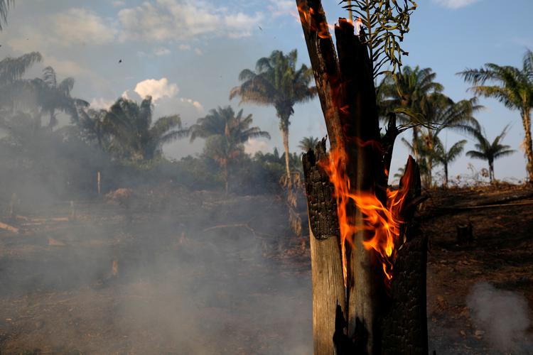 Alene den seneste uger er der registreret 9.500 skovbrande i Amazonas.  Foto: Bruno Kelly/Ritzau Scanpix