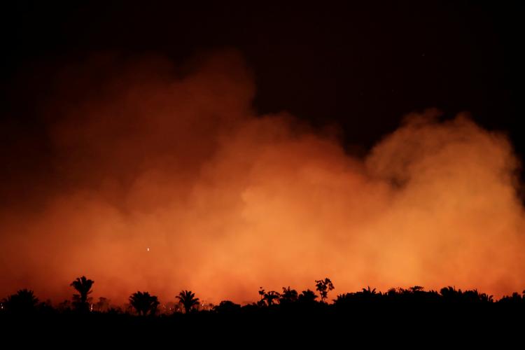 Store områder i Amazonas står i flammer. Foto: Ueslei Marcelino/Ritzau Scanpix