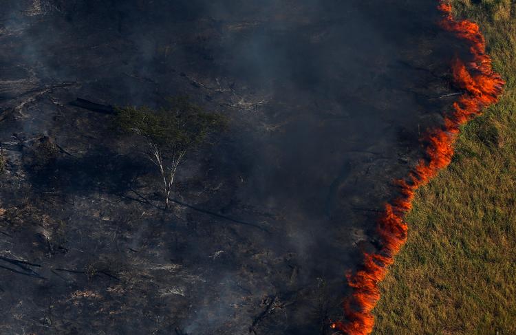 Foto: Bruno Kelly/Ritzau Scanpix