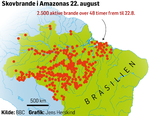 Brasilien-skovbrand-Amazonas-JH
