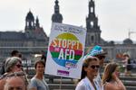 
    POmkring 35.000 mennesker er lørdag på gaden i Dresden i det østlige Tyskland for at demonstrere mod racisme og højredrejning.
Sachsen er en af de tyske delstater, hvor det indvandrerkritiske parti Alternative für Deutschland (AfD) ventes at få en betydelig fremgang ved valget om en uge.(Photo by John MACDOUGALL / AFP)
   Foto: John Macdougall/Ritzau Scanpix