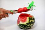 Det er ikke en særlig stor melon, Bagsiden tester melonskæreren på, men vi kan alligevel få tre fine stykker for hver gang vi skærer.  Foto: Jacob Ehrbahn
