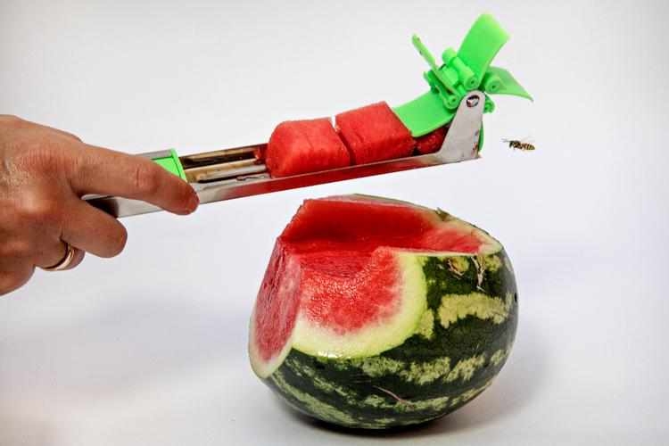 Det er ikke en særlig stor melon, Bagsiden tester melonskæreren på, men vi kan alligevel få tre fine stykker for hver gang vi skærer.  Foto: Jacob Ehrbahn
