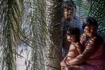 
    Arkiv: Kayapo folket er en af de mange stammer som lever i Amazonas regnskove.
(Photo by Joao LAET / AFP)
   Foto: Joao Laet/Ritzau Scanpix