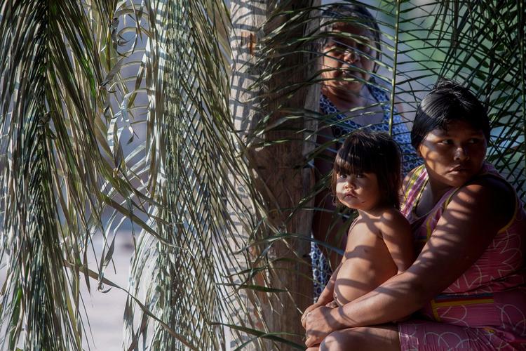 
    Arkiv: Kayapo folket er en af de mange stammer som lever i Amazonas regnskove.
(Photo by Joao LAET / AFP)
   Foto: Joao Laet/Ritzau Scanpix
