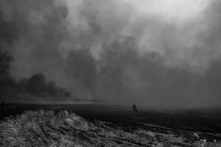 I landsbyen Geri Peri i det nordlige Syrien har markbrande hærget sommeren over. Terrororganisationen ISIS har taget ansvar for brændene og meldt ud, at deres folk skal antænde alle marker for at sulte den lokale befolkning. Denne uge kan du blive klogere på Syriens tilstand under festivalen Syrian Doc Days. Foto: Jan Grarup