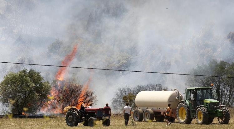 Landbruget i Spanien og andre lande i Sydeuropa vil blive hårdt ramt af klimaforandringerne. (arkiv) Foto: Albert Gea/Ritzau Scanpix