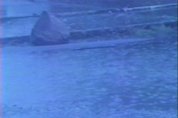 2.Kuchar Weather Diaries