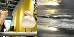 5XL0XK3J