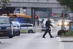 Foto: Jens Dresling/POLFOTO