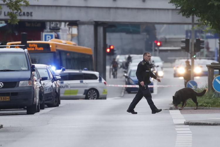 Foto: Jens Dresling/POLFOTO