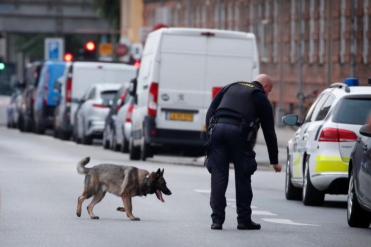 Foto: Jens Dresling/POLFOTO