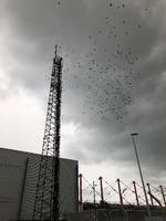 Man skal til Vadehavet for at opleve sort sol, men ved en mast i den nordlige del af lufthavnen kan man opleve en sort prut. Og jo, de tunge skyer på billedet indeholdt et rigtig pænt regnskyl. Foto: Annette Nyvang