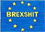 Som det fremgår af værket ’Brexshit’ fra 2018 er kunstneren Michael Landy ingen tilhænger af Brexit. Privat danner han par med Gillian Wearing, som for to år siden havde en stor udstilling på SMK i København. Foto: Michael Landy/Thomas Dane Gallery/The Drawing Biennial