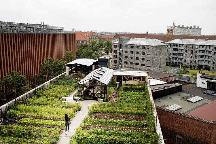 Efter næsten et års usikkerhed om fremtiden for den berømte tagfarm ØsterGro i København, lyder kommunens melding nu, at den nu er »tæt på at være reddet«. Foto: Lasse Kofod/POLFOTO