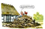Foto: Roald Als/POLITIKEN
