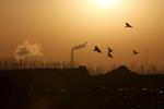 Fugle flyver over en stålfabrik i Tangshan, Kina. Øjnene hviler på Kina, der har bebudet skærpede klimamål senest i 2020. Kina er i dag verdens største udleder af CO2. Foto: Kim Kyung Hoon/Ritzau Scanpix