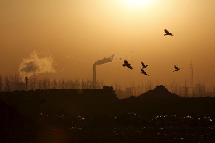 Fugle flyver over en stålfabrik i Tangshan, Kina. Øjnene hviler på Kina, der har bebudet skærpede klimamål senest i 2020. Kina er i dag verdens største udleder af CO2. Foto: Kim Kyung Hoon/Ritzau Scanpix