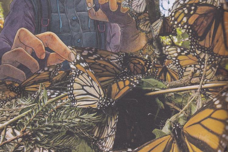 Foto: Illustration fra 'Explorer Akademiet'. 