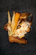 Foto: Jacob Ehrbahn/POLFOTO