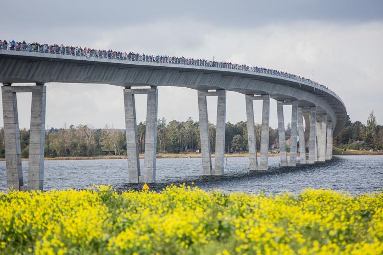 Indvielse af Kronprinsesse Marys Bro skete med et motionsløb, hvor 10.000 deltog. Foto: Nikolai Linares/Ritzau Scanpix
   Foto: Nikolai Linares/Ritzau Scanpix