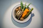 Spises ikke råt. Faktisk er dette kun ingredienserne til en rigtig gang kinesisk skildpaddesuppe. Men bare tanken om, hvad slurkene kommer af, kan vel også hos nogle fremkalde akut mæthed.   
   Foto: Loic Venance/Ritzau Scanpix