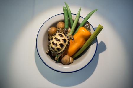 Spises ikke råt. Faktisk er dette kun ingredienserne til en rigtig gang kinesisk skildpaddesuppe. Men bare tanken om, hvad slurkene kommer af, kan vel også hos nogle fremkalde akut mæthed.   
   Foto: Loic Venance/Ritzau Scanpix