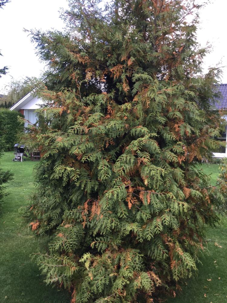 Foto: Privatfoto