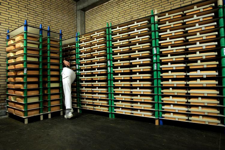 Dansk Industri forventer, at dansk eksport af oste for 309 millioner kroner bliver ramt af forhøjede amerikanske toldafgifter.  Foto: Finn Frandsen/POLFOTO