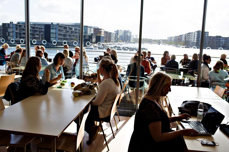 Feedback og individuel vejledning er næsten ikke-eksisterende, mener Kristian Nysom Lassen, der er formand for Djøf-studerende.    Foto: Miriam Dalsgaard/POLFOTO