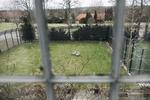I valgkampen fik psykiatrien løfte om flere penge. Nu spejder de forgæves efter penge i det udspil til finansloven, som regeringen har præsenteret. Foto: Kenneth Lysbjerg Koustrup/POLFOTO