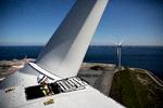 Er mine pensionspenge investeret i vindmøller eller i mere sorte industrier. Det kan kunderne ikke få svar på i deres pensionsselskab.. Her en  67 meter høj vindmølle ved Prøvestenen på Amager.
   Foto: Peter Klint/POLFOTO