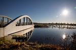 I marts i år regnede det så meget, at vandstanden steg kraftigt ved en bro ved Østre Rendbæk i Nordjylland. Foto: Finn Frandsen/POLFOTO