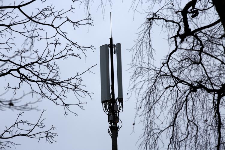 Foto: Jacob Ehrbahn/POLFOTO