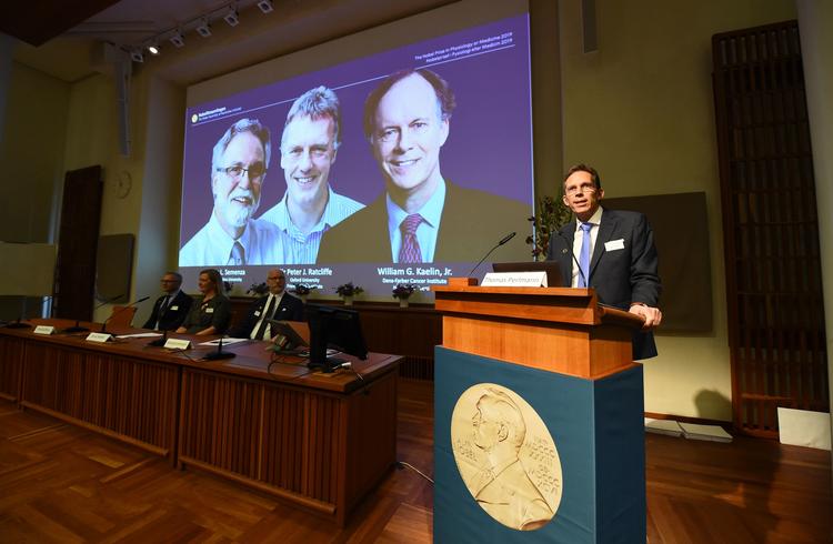 Thomas Perlmann fra Nobel komiteen afslører vinderne af Nobelprisen i medicin. Foto: Jonathan Nackstrand/Ritzau Scanpix