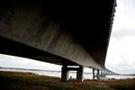 Dyr og mennesker kan passere uhindret under broen på begge landsider. 



   Foto: Jens Dresling/POLFOTO