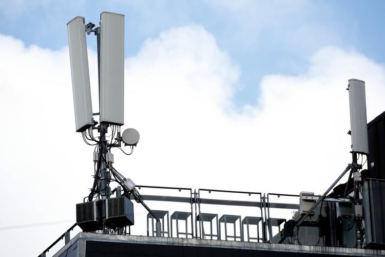 Foto: Jens Dresling/POLFOTO