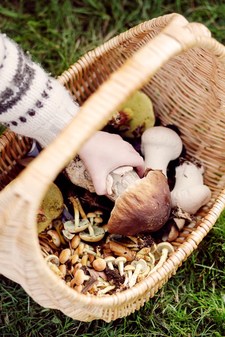 Foto: Emma Sejersen