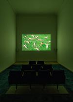 Marina Abramovic, Balkan Erotic Epic, Destricted, 2006. Installationsview. Art & Porn, Kunsthal Charlottenborg. Foto: David Stjernholm