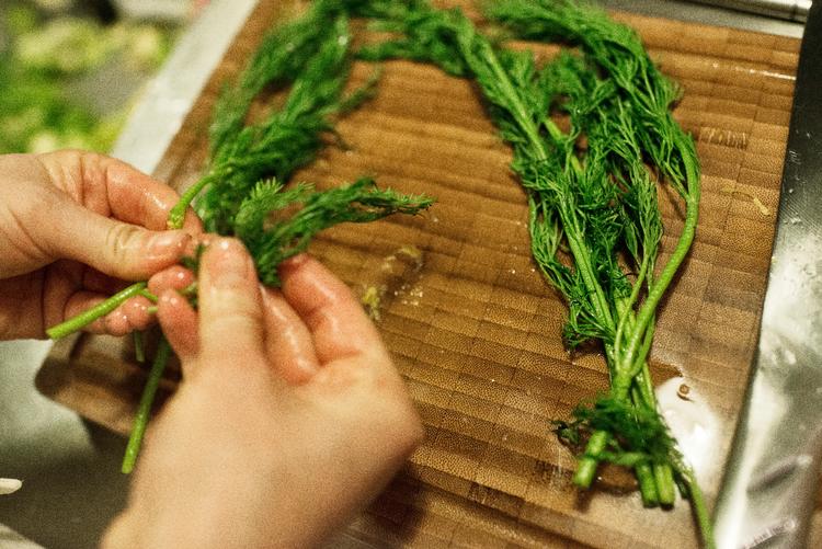 Søren Ryge Petersen foreslår læseren at lægge kartofler i den svenske sommerhushave. Og så lige så en række dild, som passer godt til nye kartofler. Arkivfoto: Katinka Hustad