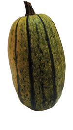 spaghettisquash 1 1