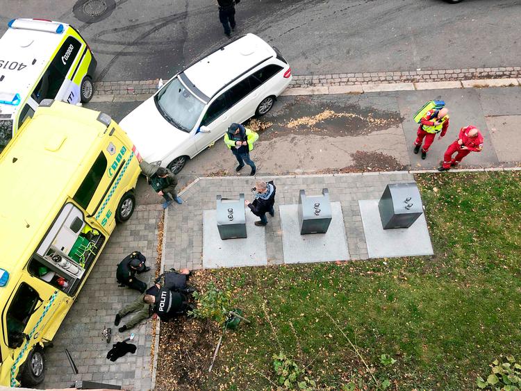 På billedet anholder politiet gerningsmanden, efter han stjal en ambulance og påkørte folk i Oslo.  Foto: Cathrine Hellesoy/Ritzau Scanpix