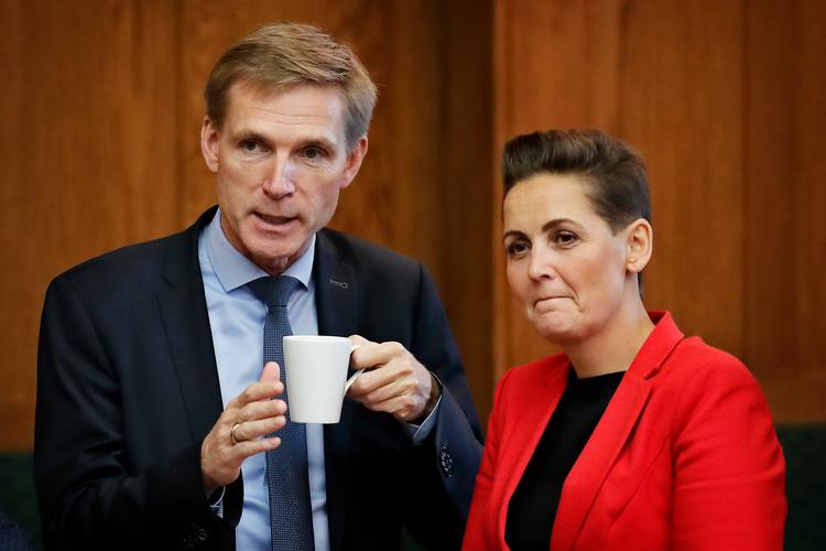 Både Dansk Folkeparti og SF accepterer nu, at udlændingeministeren fremover får mulighed for at tage det danske statsborgerskab fra f.eks. fremmedkrigere.   Foto: Jens Dresling/POLFOTO