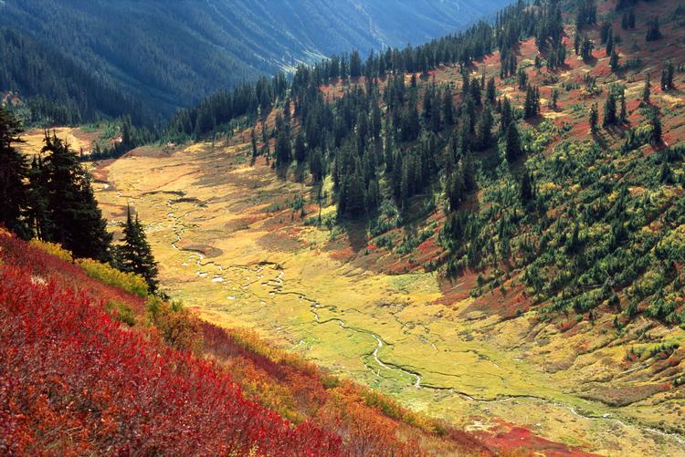 Et væld af farver gør efteråret i staten Washingtons Glacier Peak Wilderness særlig smuk om efteråret. Foto: Tyson Fisher