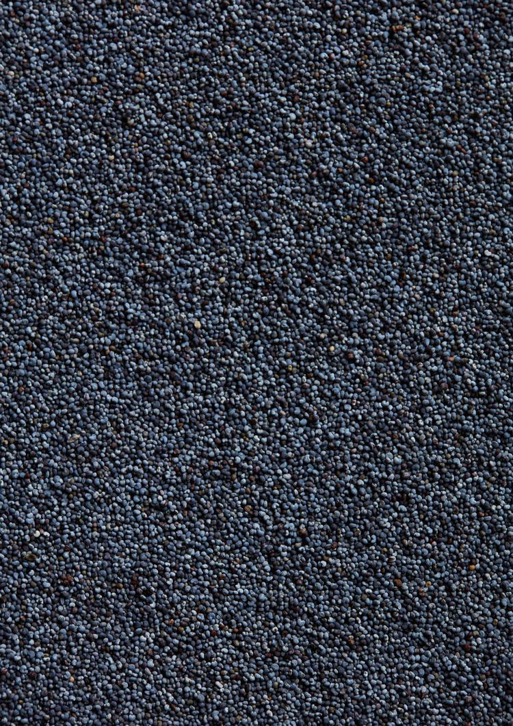 Foto: Chris Opander Tonnesen