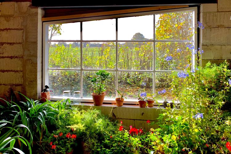 Foto: Lise Rønnebæk