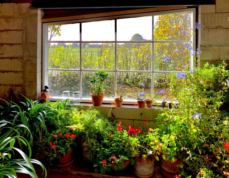 Foto: Lise Rønnebæk