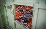 1200 udenlandske IS-kriger sidder i Tyrkiske fængser, og endnu flere er tilbageholdt under tyrkiets invation af det nordlige Syrien. Tyrkiet fastholder, at de skal hjemsendes, selvom de har fået frataget statsborgerskabet i deres hjemland. 